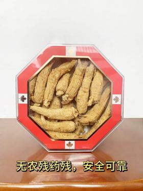 加拿大西洋参五年大原枝 454g礼盒装 每颗25-30克左右