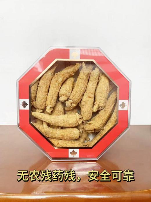 加拿大西洋参五年大原枝 454g礼盒装 每颗25-30克左右 商品图0
