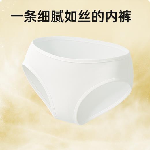 【天丝内裤】BEBESTAR 女士日抛莱赛尔内裤出行旅游出差适用 商品图3