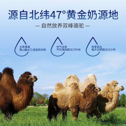 【孝敬长辈】漠之尊驼奶粉300克 商品图1