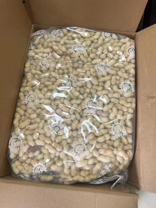 陈皮花生11.8元1斤／袋，次日到 商品图7