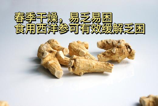 加拿大五年西洋参大圆粒25g/颗 454g礼盒装 商品图5