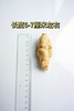 加拿大五年西洋参大圆粒25g/颗 454g礼盒装 商品缩略图8