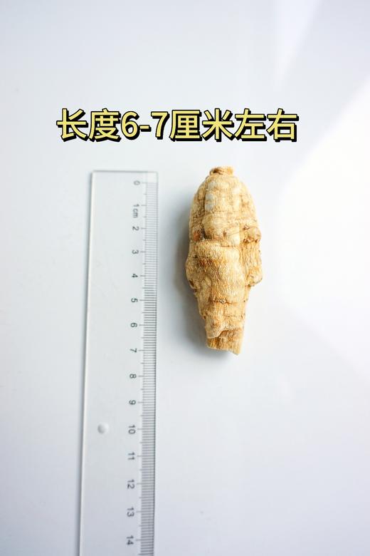 加拿大五年西洋参大圆粒25g/颗 454g礼盒装 商品图8