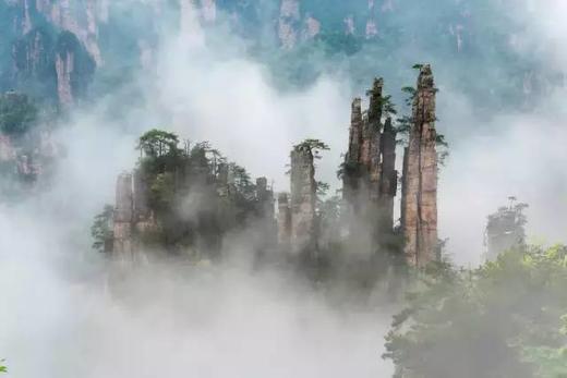 【订制】云雾仙境张家界、重庆三峡红叶、成都&四姑娘山12天休闲摄影团 商品图3