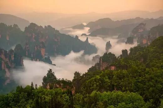 【订制】云雾仙境张家界、重庆三峡红叶、成都&四姑娘山12天休闲摄影团 商品图4