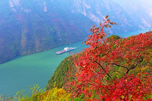 【订制】云雾仙境张家界、重庆三峡红叶、成都&四姑娘山12天休闲摄影团 商品图1