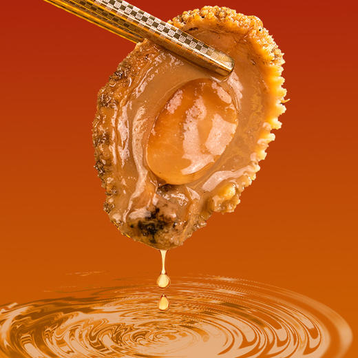 星龙港冷冻佛跳墙礼盒金砖辽参款260g*10盒 商品图4