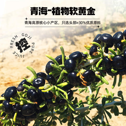 杞里香 尝萃黑枸杞原浆汁300ml 商品图4