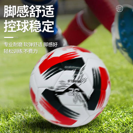 【青少年训练必备⚽】5号成人青少年机缝耐磨中小学生训练比赛专用PVC足球，耐磨防漏气，脚感舒适的专业PVC足球！轻松控球稳定，陪你踢出精彩每一球🔥 商品图1