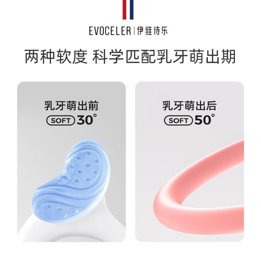 伊维诗乐曼哈顿手抓球 商品图2