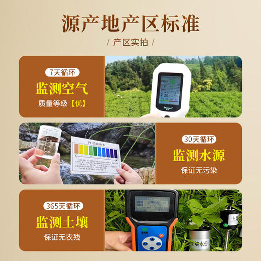 茶马世家莓茶张家界龙须芽尖湖南特产永定茅岩土家礼盒养生茶80g 商品图3