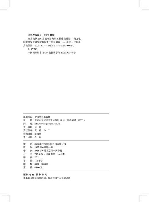 南方电网抽水蓄能电站典型工程建设总结 商品图3