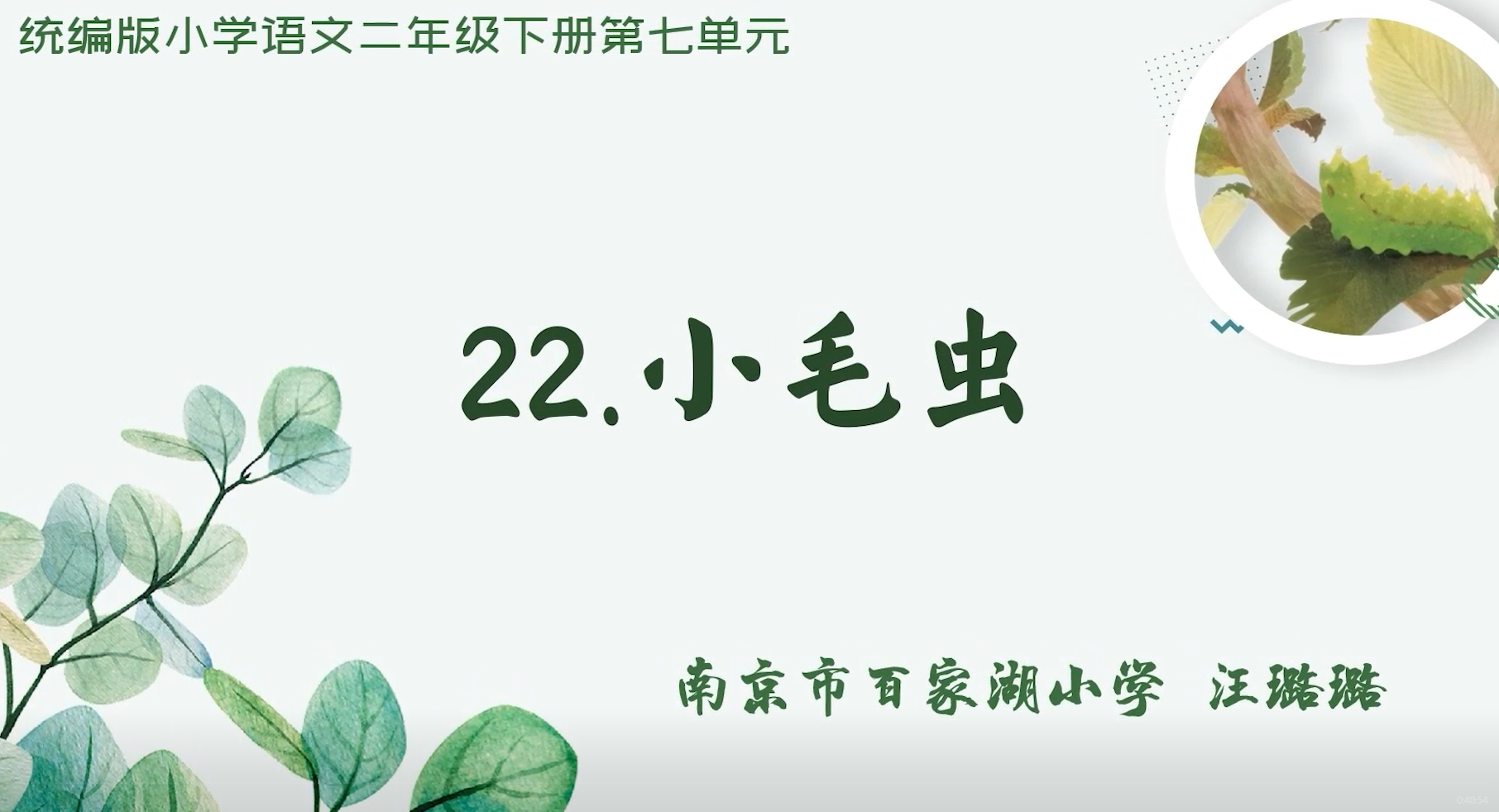 汪璐璐老师《小毛虫》一课实录