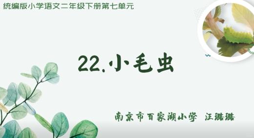 汪璐璐老师《小毛虫》一课实录 商品图0