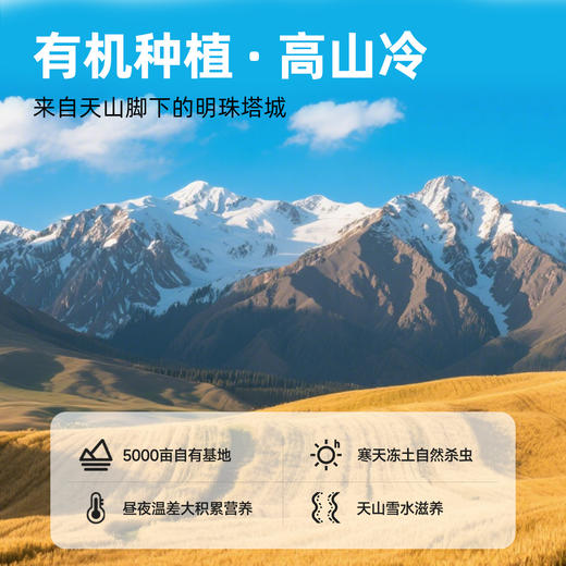 【FX】让你们感受一下什么才叫好天山面粉，有机多功能面粉，包子饺子面条都行 雪域有机全麦面粉 5斤 膳食纤维高、升糖指数低  普通快递发货 商品图6