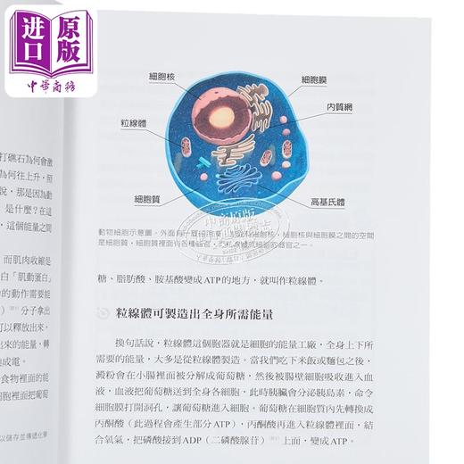 【中商原版】更新粒线体 根治慢性病 港台原版 陈俊旭 天下生活 商品图3