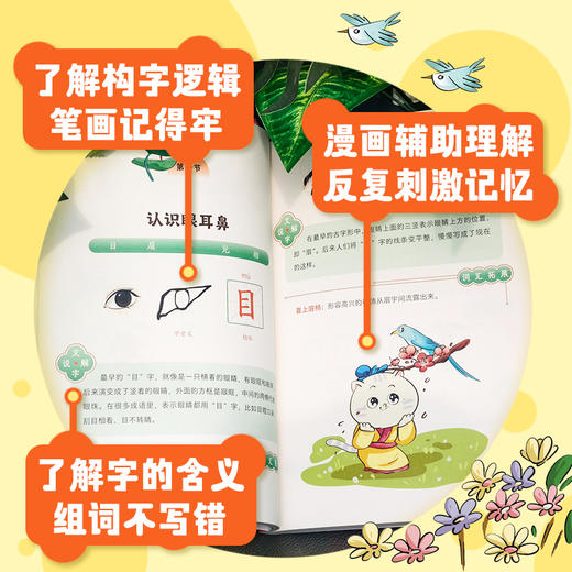 常青藤爸爸·汉字可以这样学4册+字源识字L1+L2 商品图5