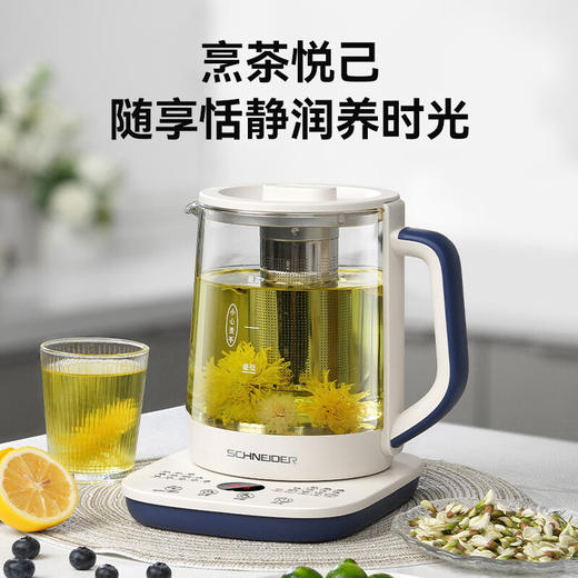 SCHNEIDER施耐德多功能养生壶 SWK-XHSL07 商品图1