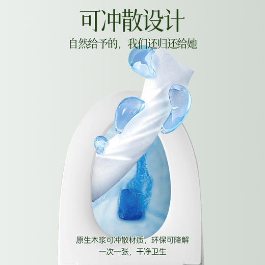 芷雨 湿厕纸10片(一件包邮) 包*10包 商品图1