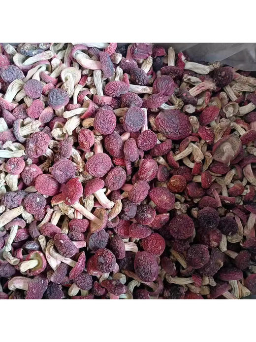 南平红菇干货食材 商品图2