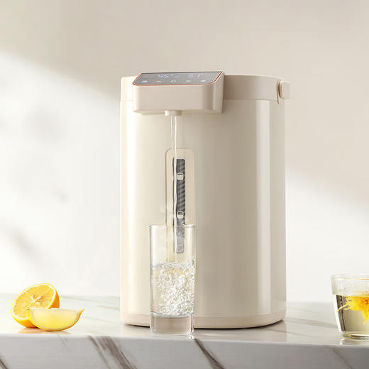 西屋Westinghouse-电热开水瓶WSP162 商品图1