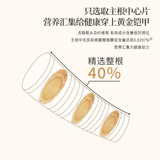 正安 甘肃黄芪 2年种植冬季采挖 精选主根切片优质原材 自然清香 黄芪 商品图3