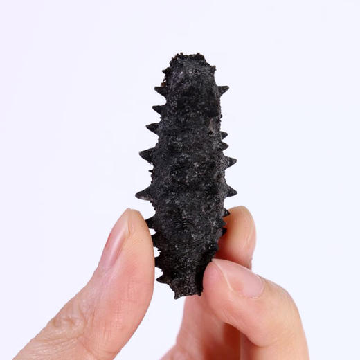 星龙港大连干海参礼盒福寿双全*80g 商品图3