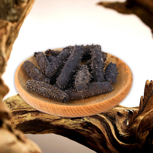 星龙港大连干海参礼盒福寿双全*80g 商品图5