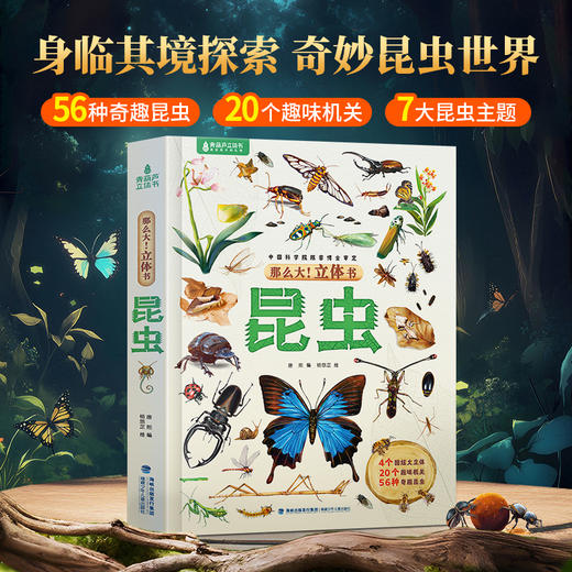 【青葫芦】那么大！立体书：昆虫 3-8岁 儿童3d立体书 商品图0