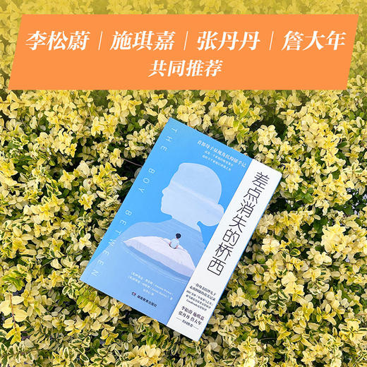 差点消失的桥西（一位母亲陪伴儿子抗击抑郁的感动全纪录，一个家庭的蜕变重生，也给万千家庭以希望之光。李松蔚、施琪嘉、张丹丹、詹大年共同推荐） 商品图1