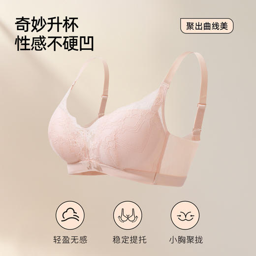 【商场同款】熳洁儿 云蔓轻纱系列舒适聚拢云感棉法式蕾丝AB通杯23701516 商品图1