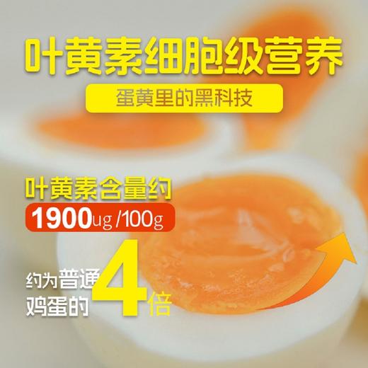 蛋鲜森 叶黄素可生食鸡蛋40枚礼盒装1800g 商品图3