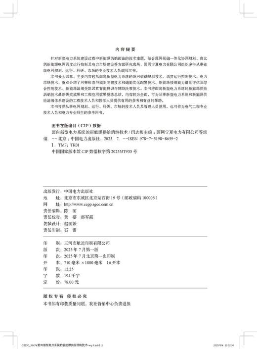 面向新型电力系统的新能源供给消纳技术 商品图3