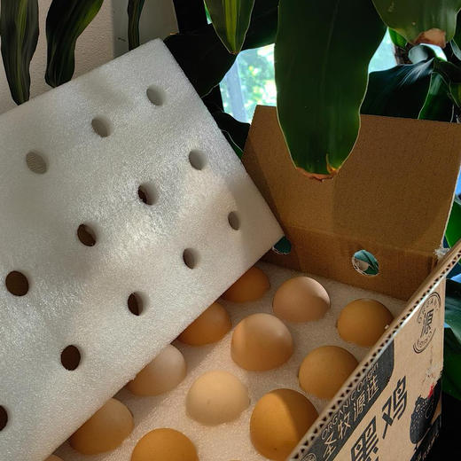 [屁侠推荐]圣牧源选 自然慢养有机鸡蛋 30枚 通过30项检测 无沙门氏菌 有机谷饲口感更鲜嫩 商品图0