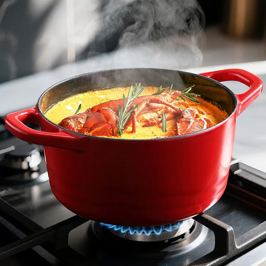 西屋Westinghouse-珐琅锅WFL222 商品图2