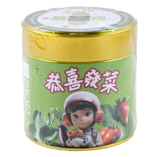 Mini种植套装(蔬果型)/盒 商品图0