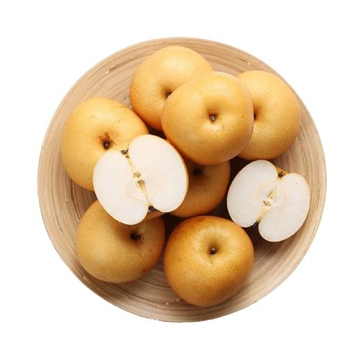 山东秋月梨 2.5kg 礼盒（6-8 个） 商品图0