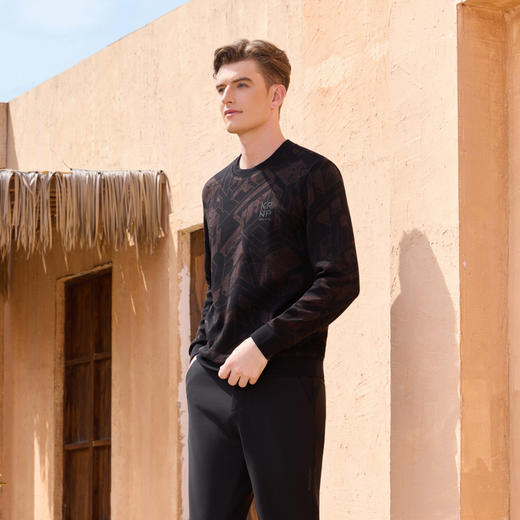 半身缘男装 秋季舒适简约大方百搭卫衣253312M01110026 商品图1