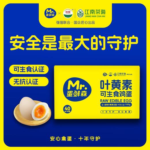蛋鲜森 叶黄素可生食鸡蛋40枚礼盒装1800g 商品图0