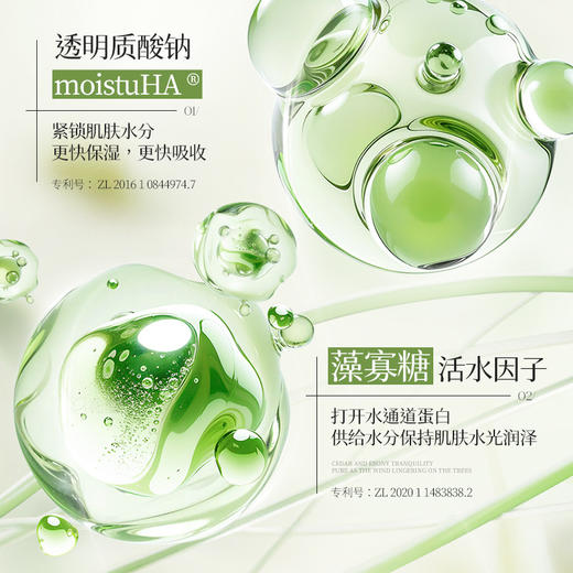 【买1送1阿古丽娅净肤控油去黑头清洁泥膜】补水深层收缩毛孔祛黑头粉刺泥膜 商品图3