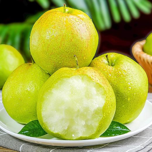 【玉露香梨】山西玉露香梨新鲜水果  3斤/4.5斤/8.5斤装 75mm+ 商品图0