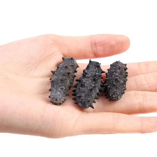 星龙港大连淡干海参一级品十全十美系列礼盒*100g 商品图4