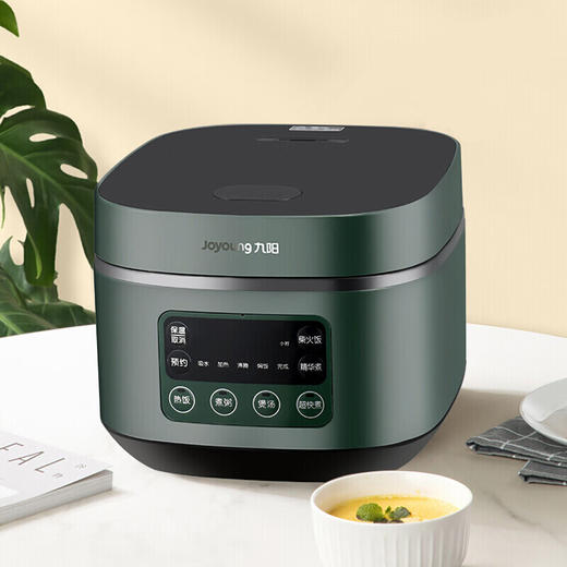 九阳电饭煲 F30FZ-F636墨绿 商品图5