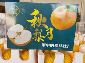 【月满福满】山东秋月梨送礼佳品