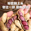 真“香”推荐！天鲜萌2025年头茬福建龙岩湿烤花生 218g/袋 商品缩略图2