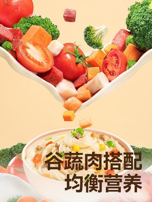 秋田满满-营养面组合（单拍不发货，3件起发） 商品图2