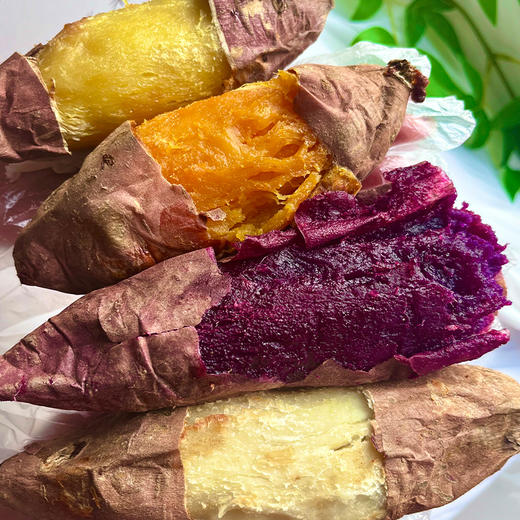 【顺丰快递】四拼番薯 番薯组合 烟薯/蜂蜜紫薯/榴莲蜜薯/哈密冰糖薯 商品图4