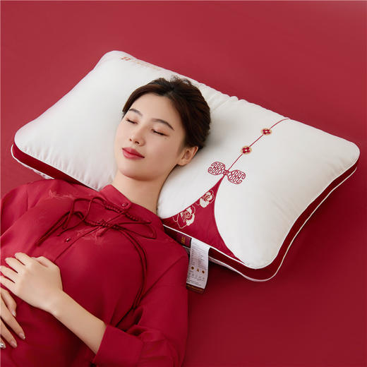 【品牌直发】加倍生活  莱赛尔天丝纯棉婚庆枕头 商品图1