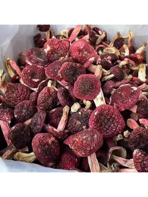 南平红菇干货食材 商品图1